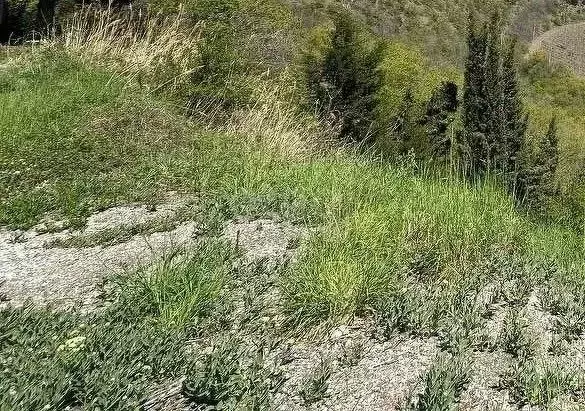 Участок в Крым, Алушта городской округ, с. Приветное  (5.0 сот.) - Фото 0