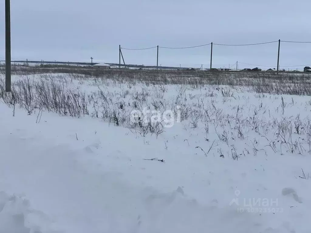 Участок в Оренбургская область, Оренбургский район, с. Благословенка  ... - Фото 1