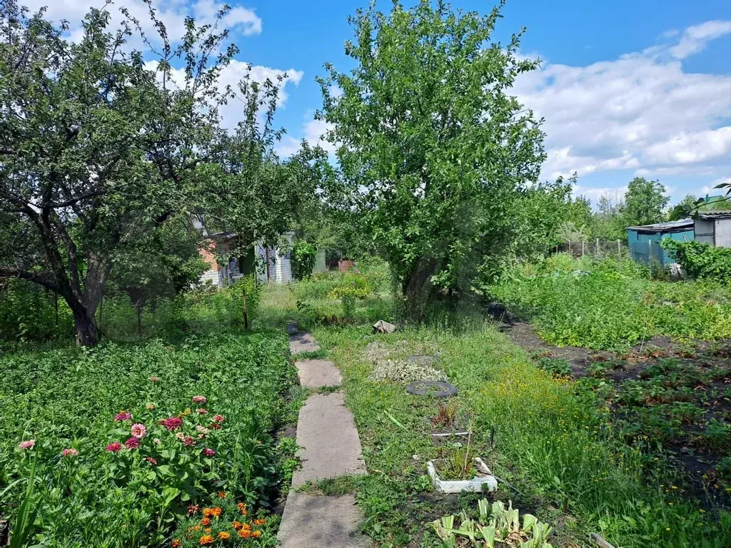 Дом 55 м на участке 12 сот. - Фото 1