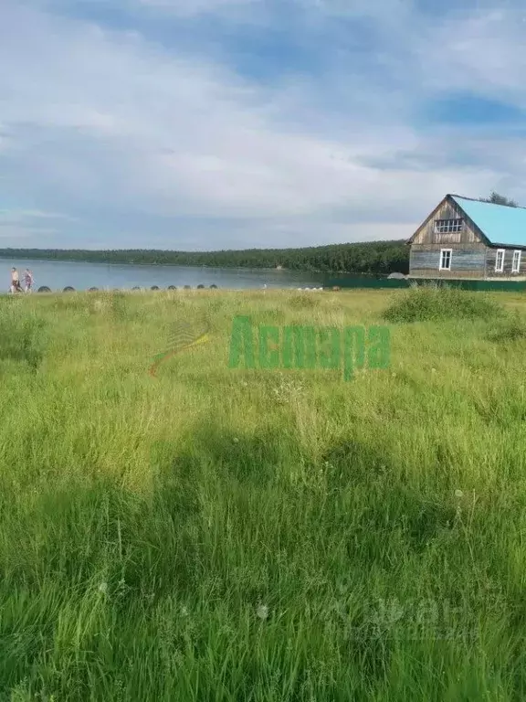 Участок в Забайкальский край, Улетовский муниципальный округ, с. Арей  ... - Фото 2