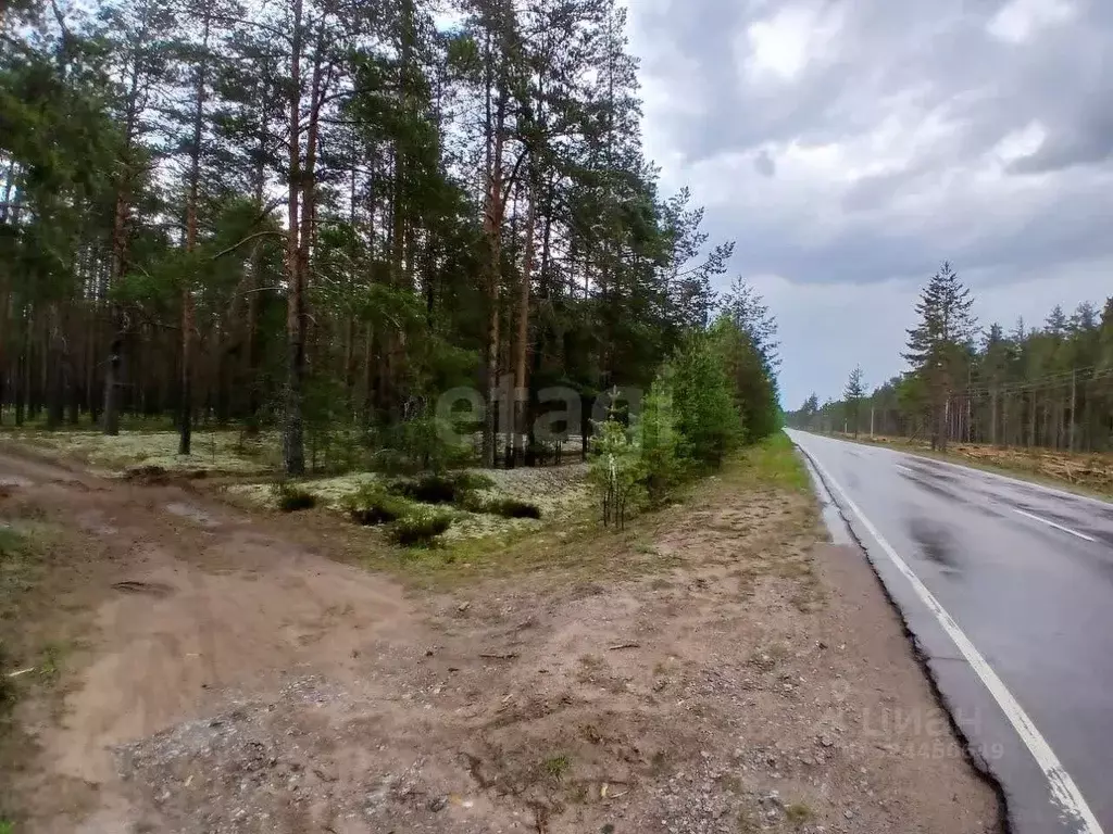 Участок в Ленинградская область, Волховский район, Пашское с/пос, д. ... - Фото 1