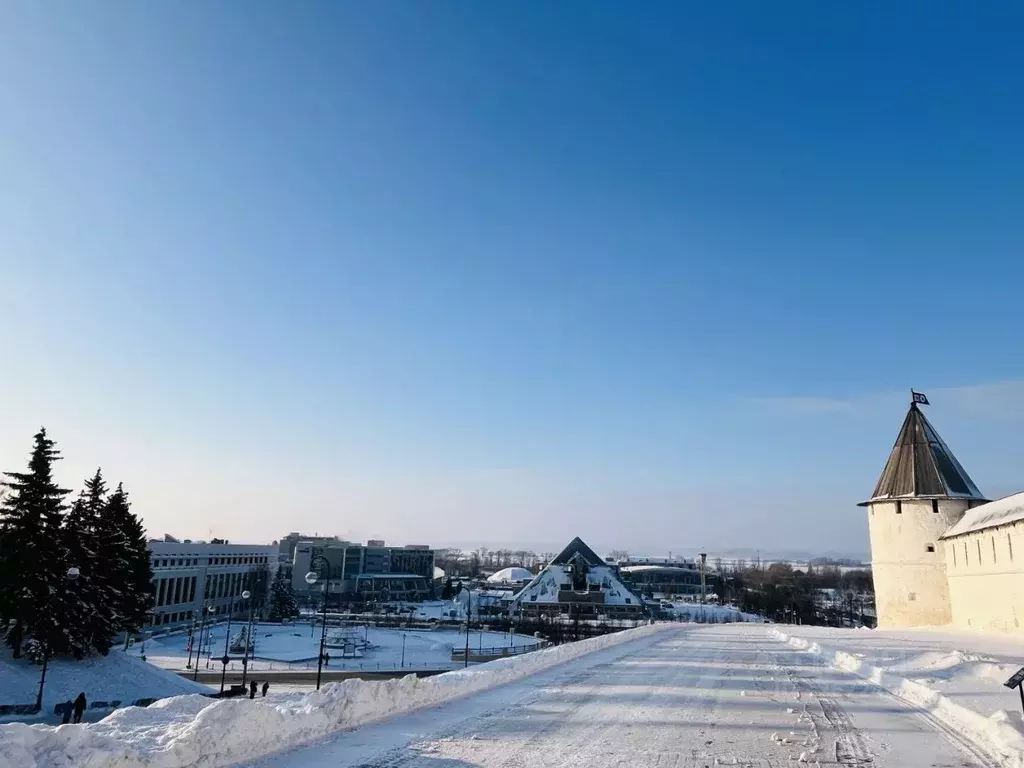 1-к кв. Татарстан, Казань Лево-Булачная ул., 16 (60.0 м) - Фото 2