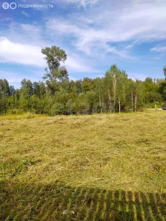 Участок в Майминский район, посёлок Дубровка, улица Сафронова (10 м) - Фото 2