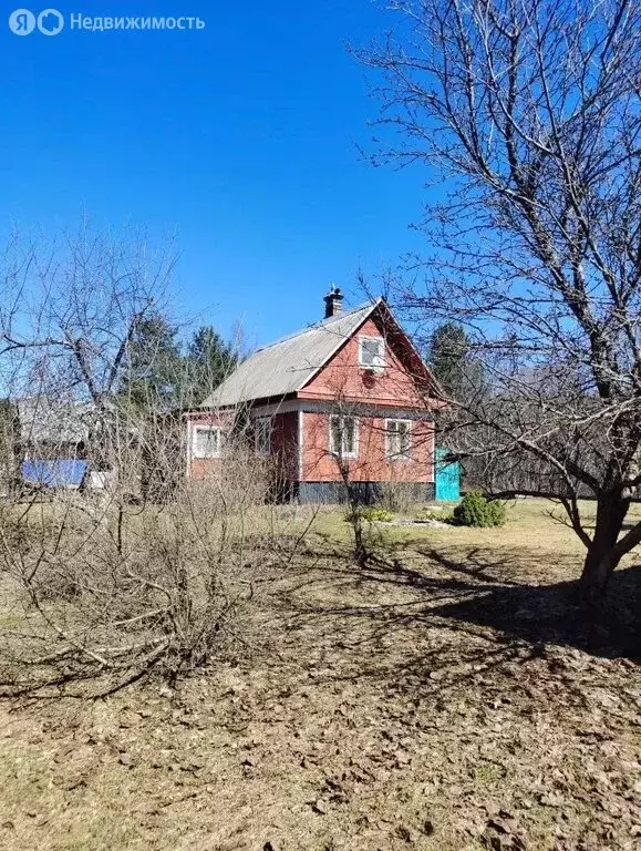 Дом в Вологодская область, Бабаевский муниципальный округ, деревня ... - Фото 2