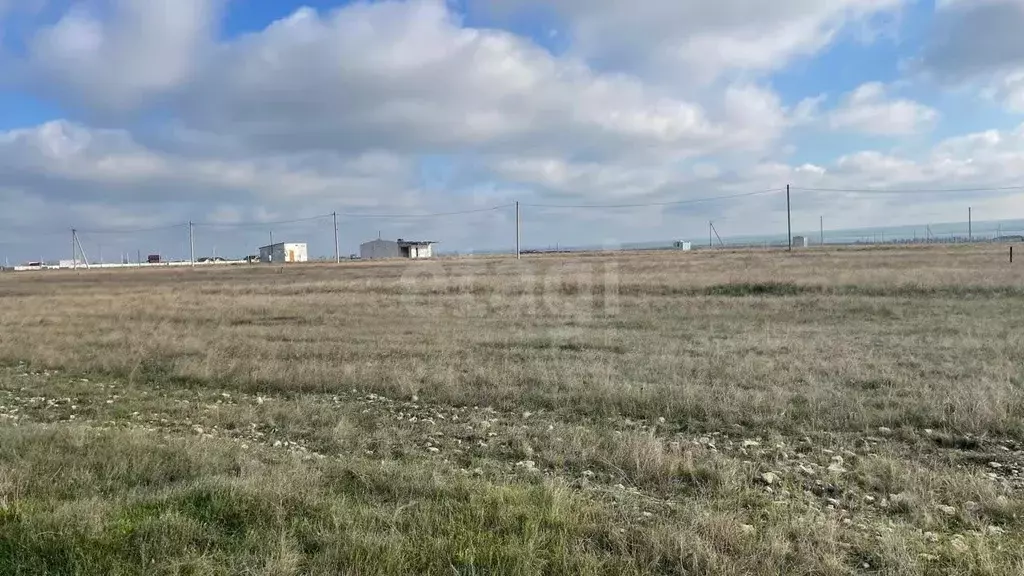 Участок в Крым, Черноморский район, с. Межводное ул. Парковая (10.0 ... - Фото 1