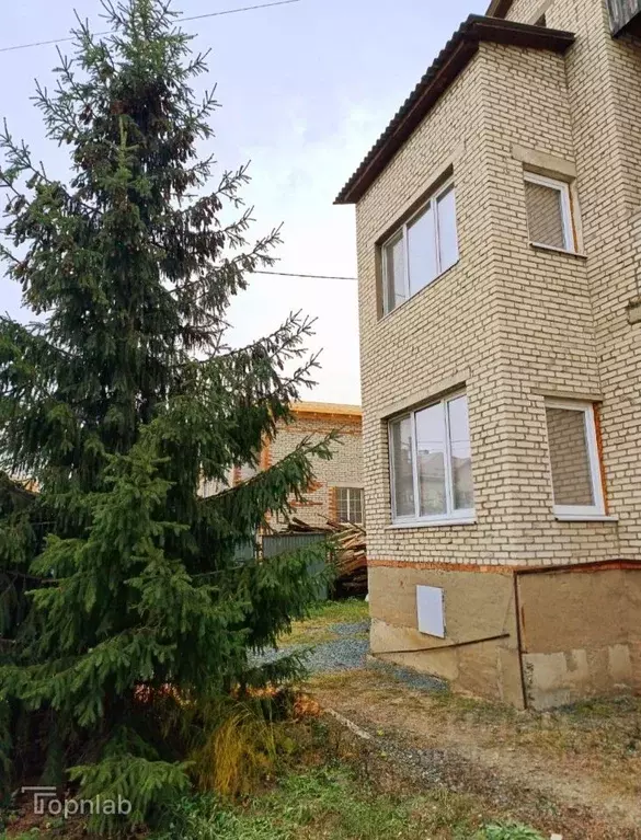 Дом в Оренбургская область, Орск пос. Елшанка, ул. Тарская (278 м) - Фото 1