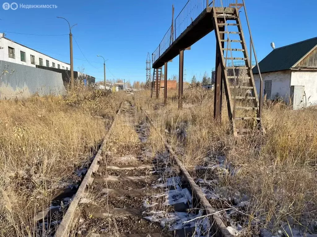 Участок в Тюменский район, посёлок городского типа Богандинский (308 ... - Фото 1