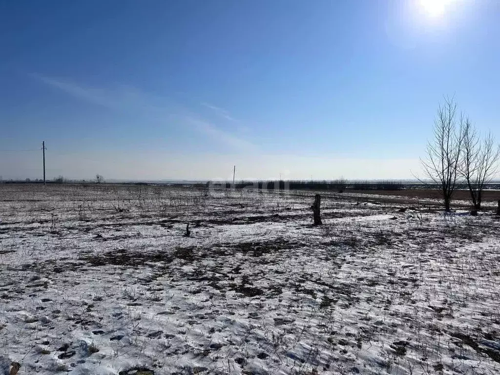 Участок в Забайкальский край, Чита Сосновая ул. (10.0 сот.) - Фото 1