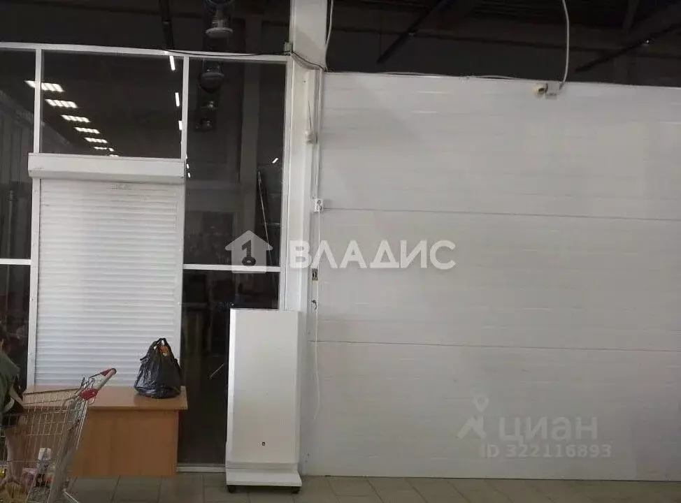 Торговая площадь в Нижегородская область, Тоншаево рп ул. Пижемская, ... - Фото 1