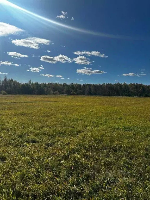 Участок в Свердловская область, Невьянский городской округ, с. ... - Фото 0