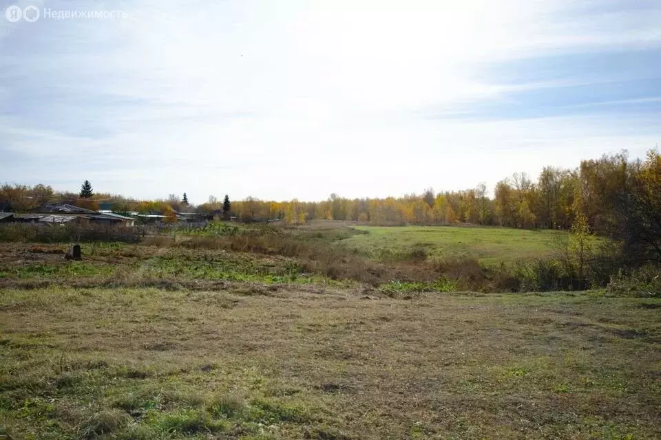 Участок в Ставропольский район, село Ташёлка (6.41 м) - Фото 1