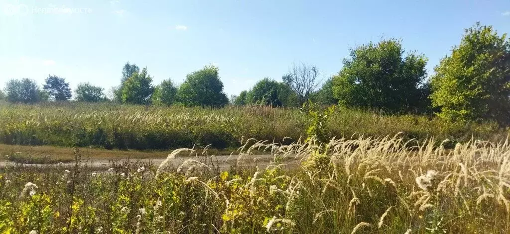 участок в село бессоновка, весенняя улица (10 м) - Фото 0