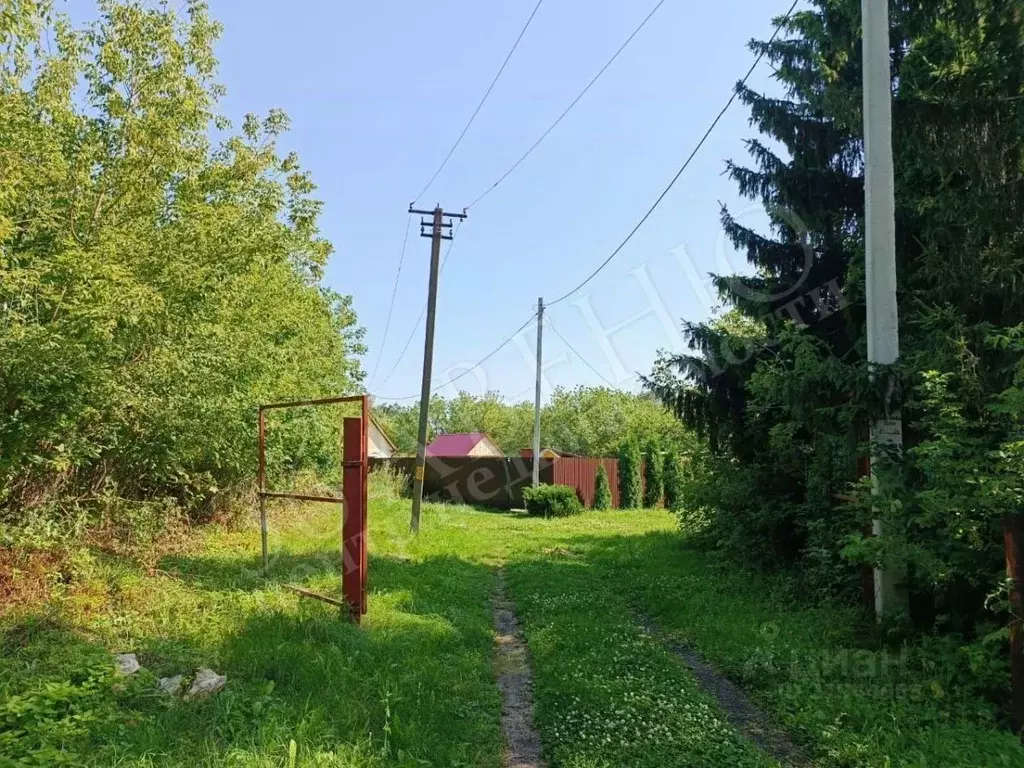 Участок в Воронежская область, Новоусманский район, с. Хлебное ул. ... - Фото 0