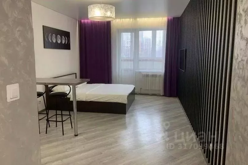 1-к кв. Новосибирская область, Новосибирск ул. Фрунзе, 49/2 (30.0 м) - Фото 0