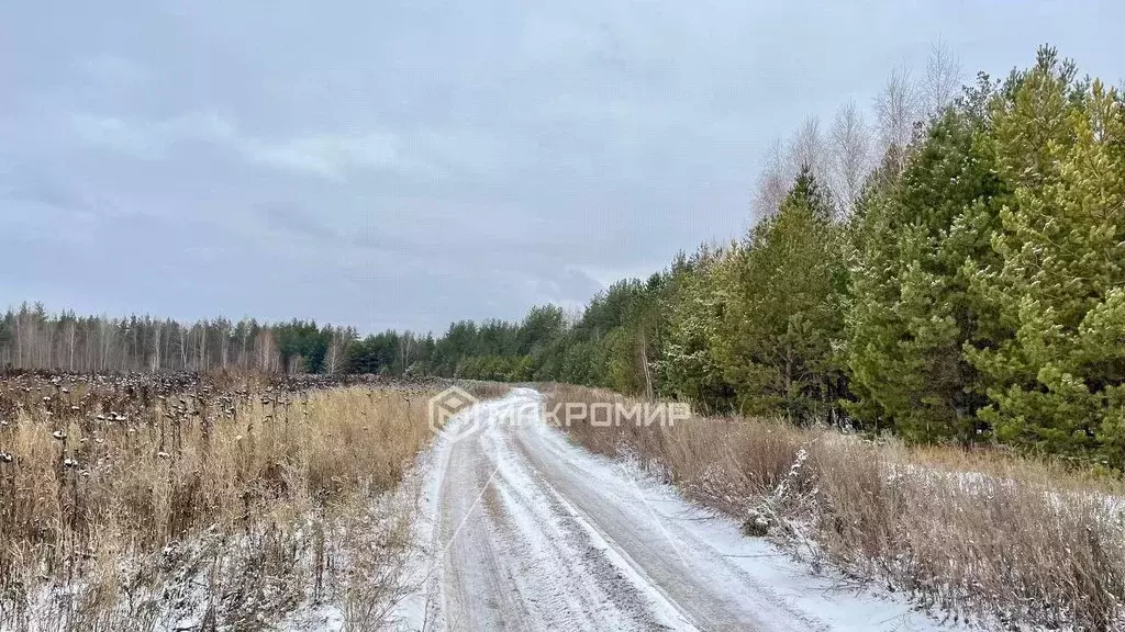 Участок в Татарстан, Лаишевский район, с. Габишево  (4101.4 сот.) - Фото 0