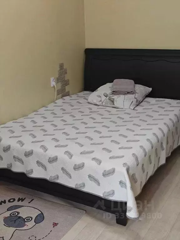Студия Магаданская область, Сокол пгт ул. Королева, 23 (29.0 м) - Фото 2