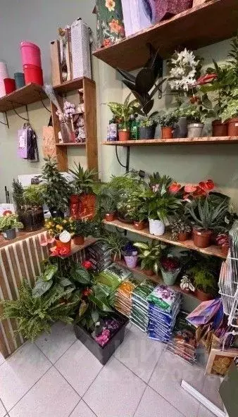 Торговая площадь в Москва Уральская ул., 5А (25 м) - Фото 2