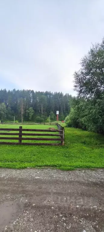 Участок в Алтай, Чемальский район, Узнезинское с/пос, с. Аскат ул. ... - Фото 1