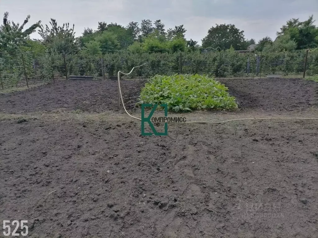 Участок в Краснодарский край, Калининский район, Старовеличковское ... - Фото 0