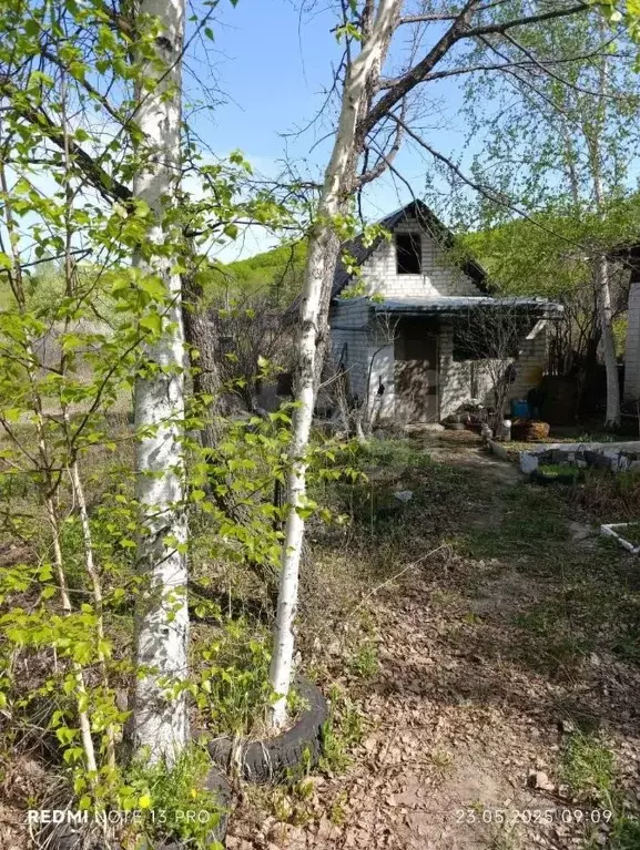 Участок в Амурская область, Благовещенск Росинка СНТ,  (9.0 сот.) - Фото 1