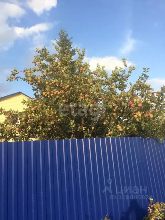 Дом в Башкортостан, Чишминский район, Алкинский сельсовет, ... - Фото 2