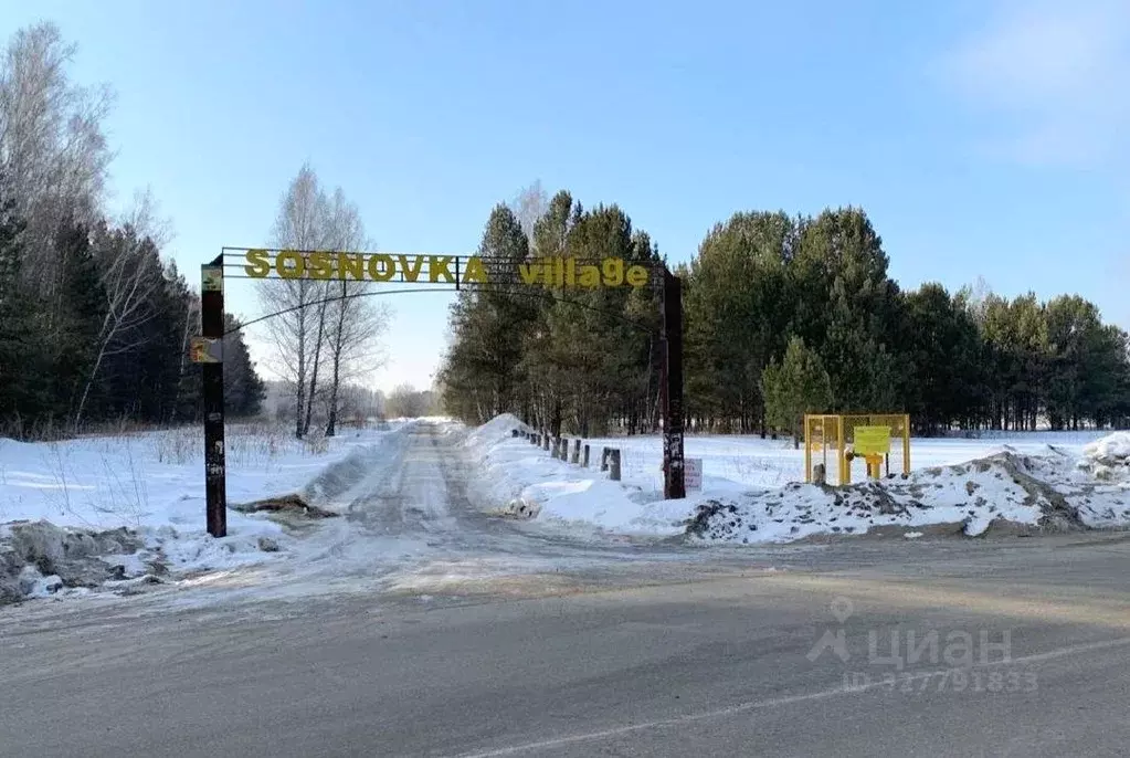 Участок в Новосибирская область, Новосибирский район, Кубовинский ... - Фото 1