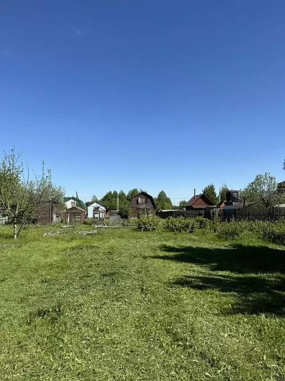 Участок в Московская область, Шатура муниципальный округ, д. Бордуки ... - Фото 2