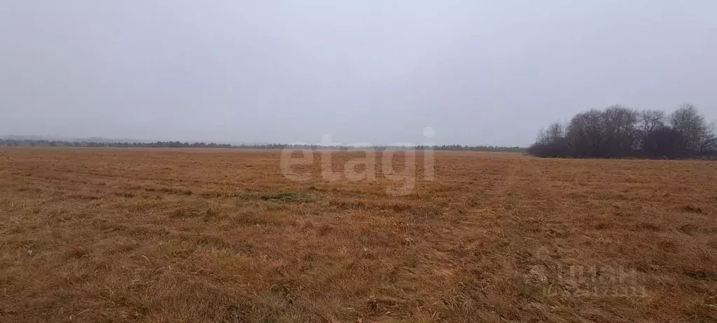 Участок в Челябинская область, Каслинский муниципальный округ, с. ... - Фото 0