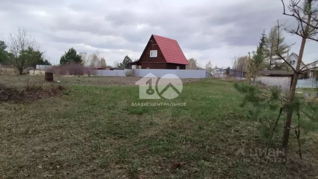 Участок в Новосибирская область, Колыванский район, Авиастроитель СНТ ... - Фото 1