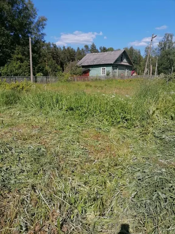 Участок в Новгородская область, Новгородский район, Савинское с/пос, ... - Фото 1