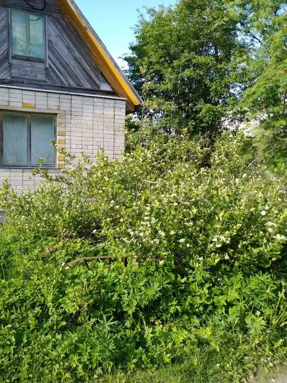 Дача 32 м на участке 6 сот. - Фото 1