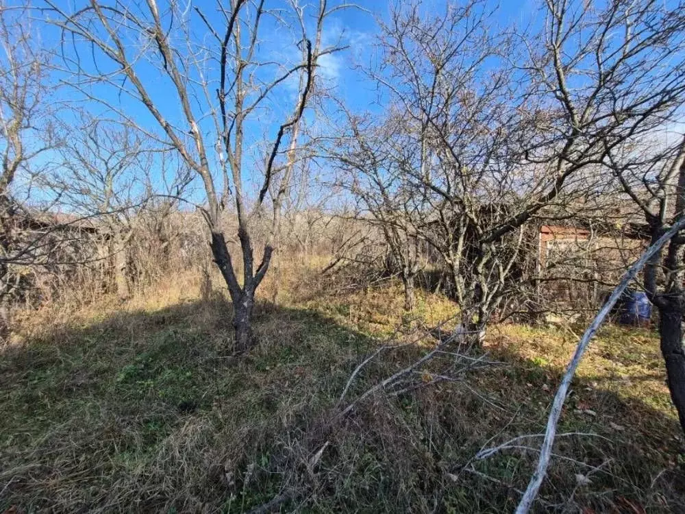Участок в Ставропольский край, Предгорный муниципальный округ, пос. ... - Фото 1