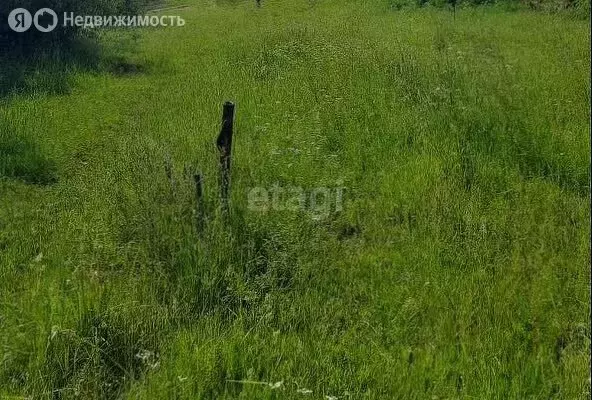 Участок в Новгородская область, Шимское городское поселение, деревня ... - Фото 1