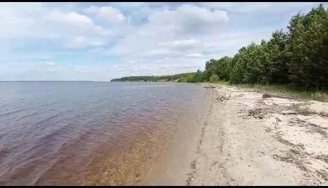 Участок в Нижегородская область, Сокольский городской округ, д. ... - Фото 0