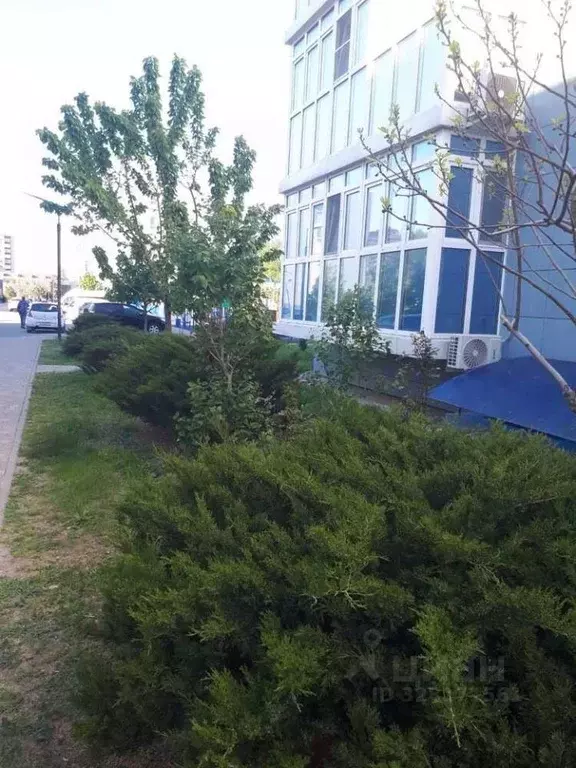 Студия Краснодарский край, Анапа Анапское ш., 6к3 (36.6 м) - Фото 2