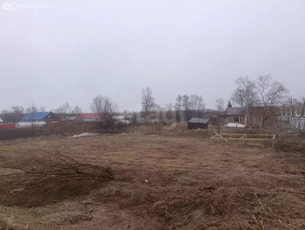 Участок в Камчатский край, Елизовский муниципальный округ, посёлок ... - Фото 2