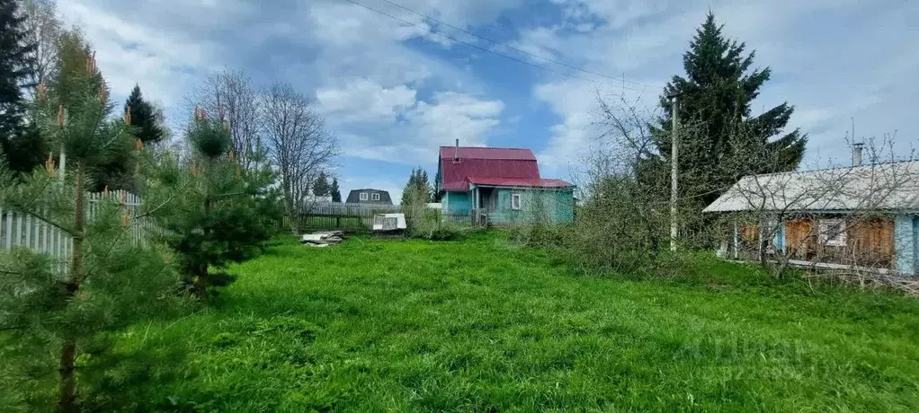 Дом в Вологодская область, д. Фомкино  (40 м) - Фото 1