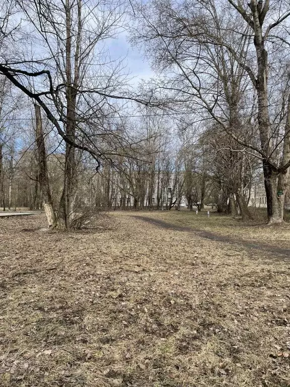 Комната, 14.8 м - Фото 0