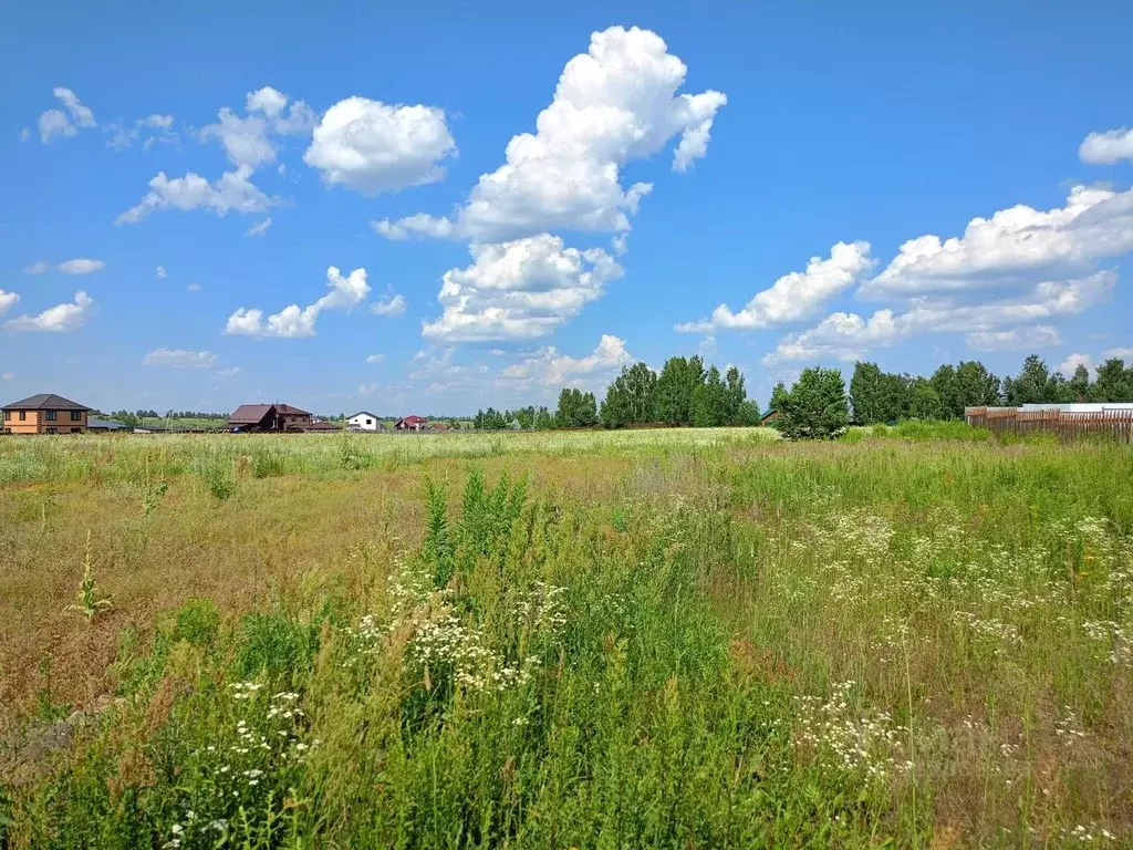 Участок в Владимирская область, Суздальский район, Боголюбовское ... - Фото 0