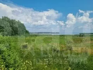Участок в Нижегородская область, Чкаловск муниципальный округ, д. ... - Фото 1