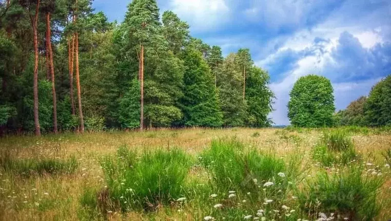 Участок в Московская область, Одинцовский городской округ, пос. ... - Фото 0