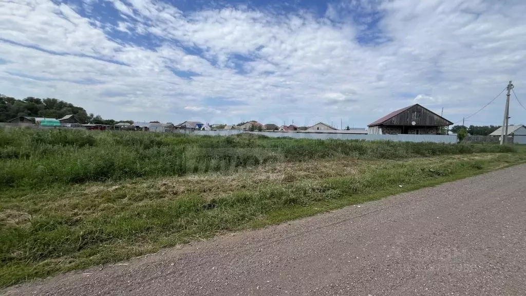 Участок в Оренбургская область, Саракташский район, Черкасский ... - Фото 0