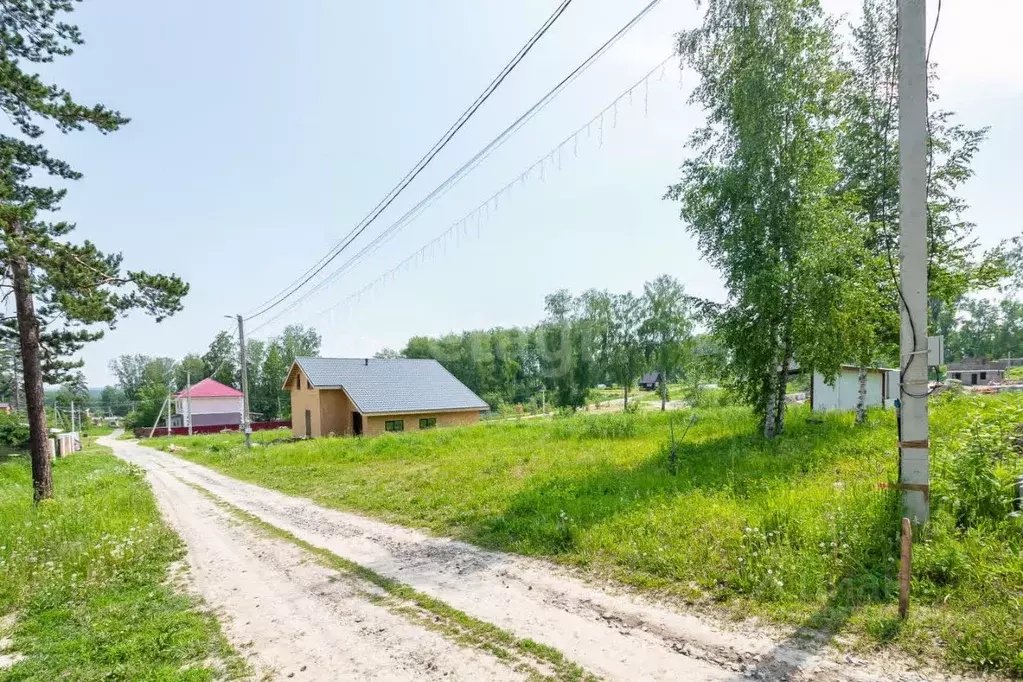 Участок в Новосибирская область, Новосибирский район, Барышевский ... - Фото 0