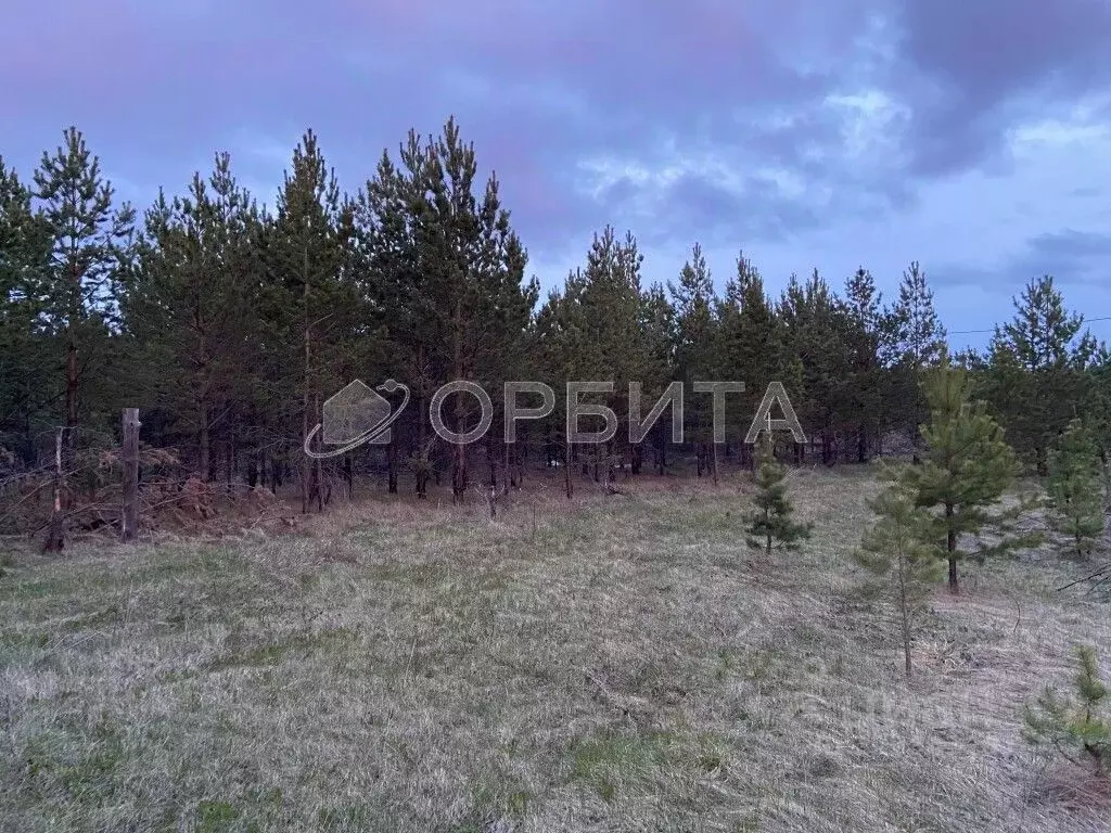 Участок в Свердловская область, Тугулымский муниципальный округ, д. ... - Фото 2