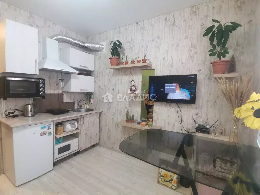 Купить Студию В Калининградской Области Недорого