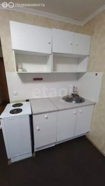 Квартира-студия: посёлок Новотарманский, Центральная улица, 52 (18.9 ... - Фото 2