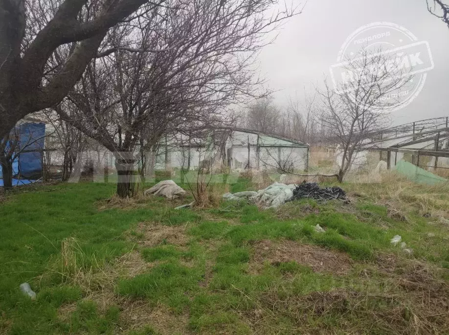 Участок в Ростовская область, Октябрьский район, Кривянское с/пос, ... - Фото 1