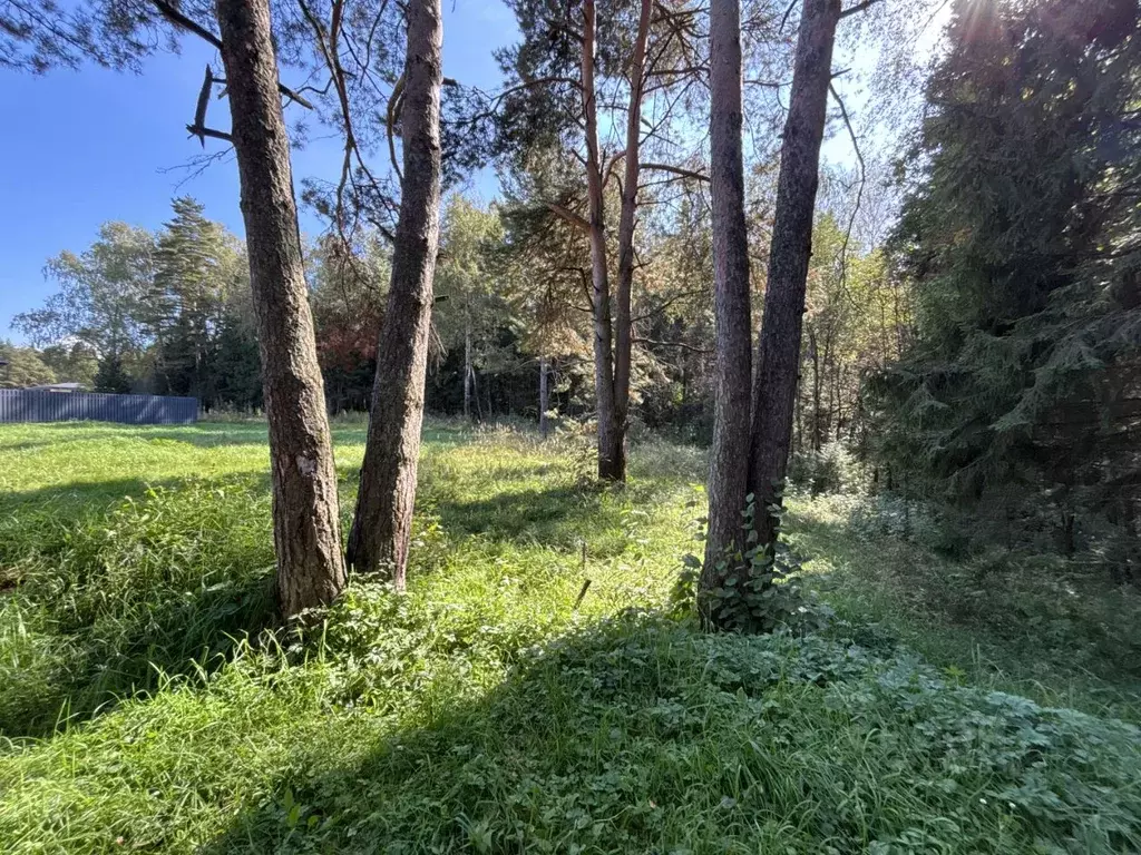 Участок в Московская область, Химки городской округ, д. Голиково, ... - Фото 1
