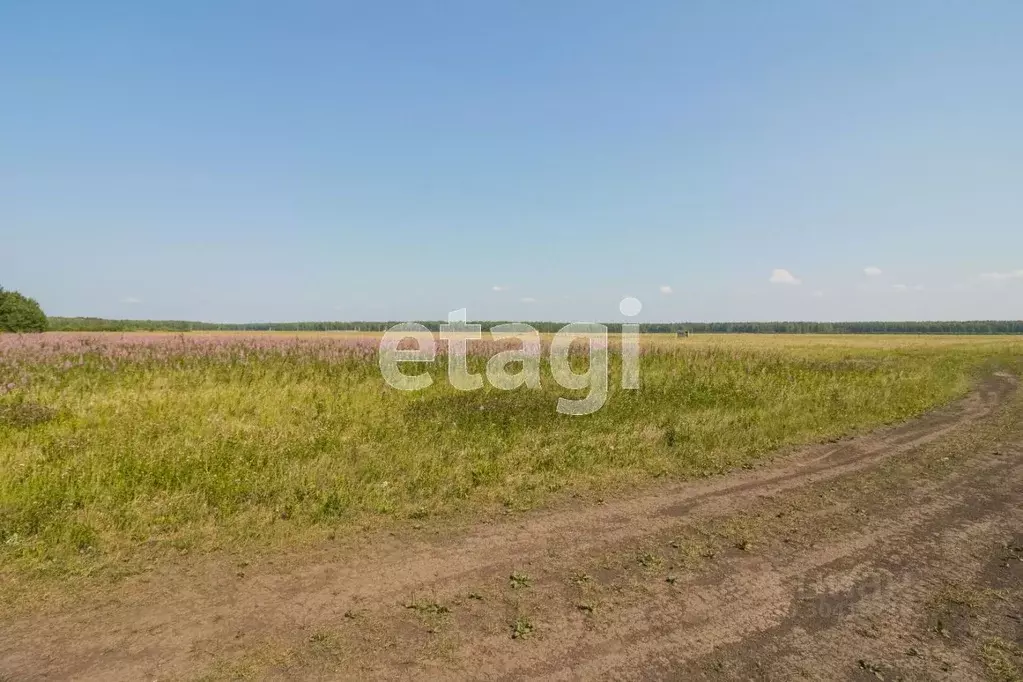 Участок в Тюменская область, Тюменский район, с. Кулига, Кулига-2 мкр  ... - Фото 0