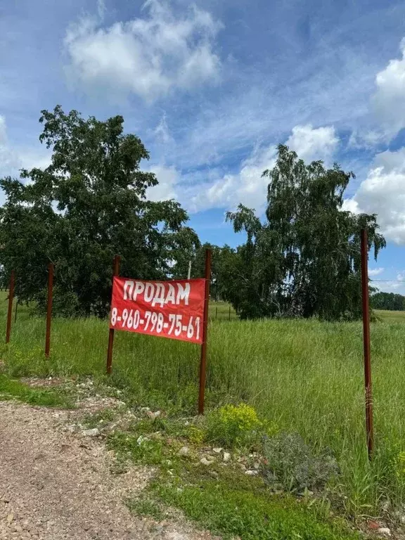 Участок в Новосибирская область, Новосибирский район, Верх-Тулинский ... - Фото 0